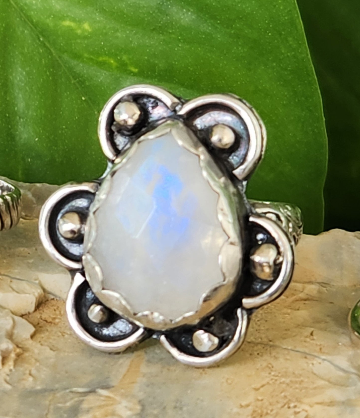 Flashy Moonstone Floral on Sterling Silver